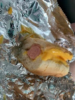 Cheese Dog